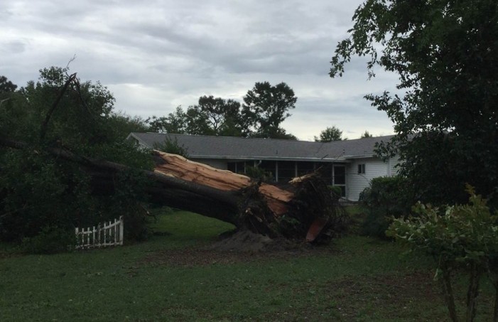 Ocala Post - A tornado and fallen trees caused major damage to homes