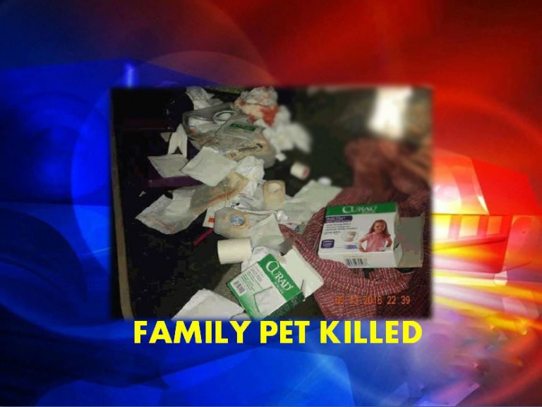 animal cruelty, ocala news, marion county news, family pet