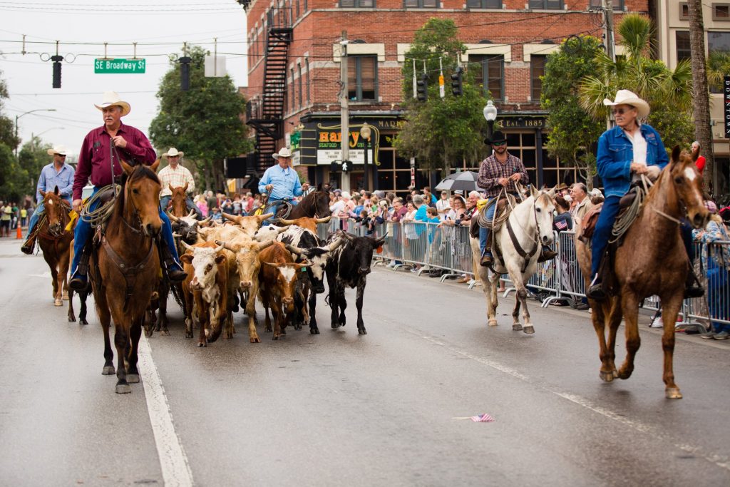 Ocala Post (Ocala News) Cattle Drive and Cowboy RoundUp event