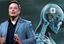 ocala post, Neuralink, elon musk